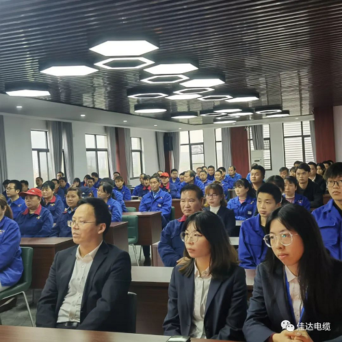 佳達(dá)電纜有限公司,佳達(dá)電纜,湖南佳達(dá)，