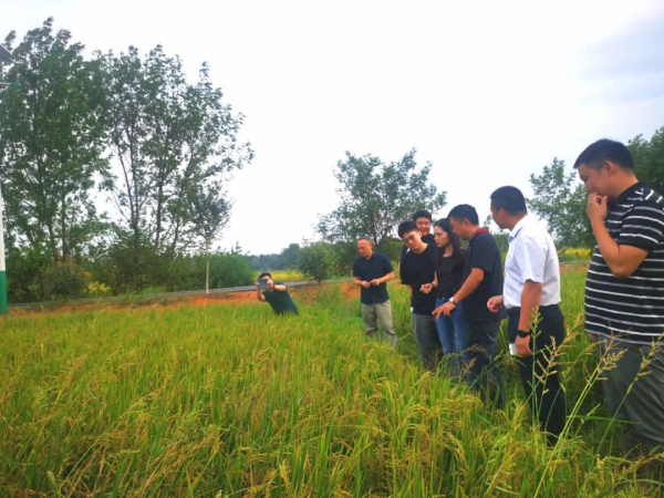 佳達電纜有限公司,佳達電纜,湖南佳達，